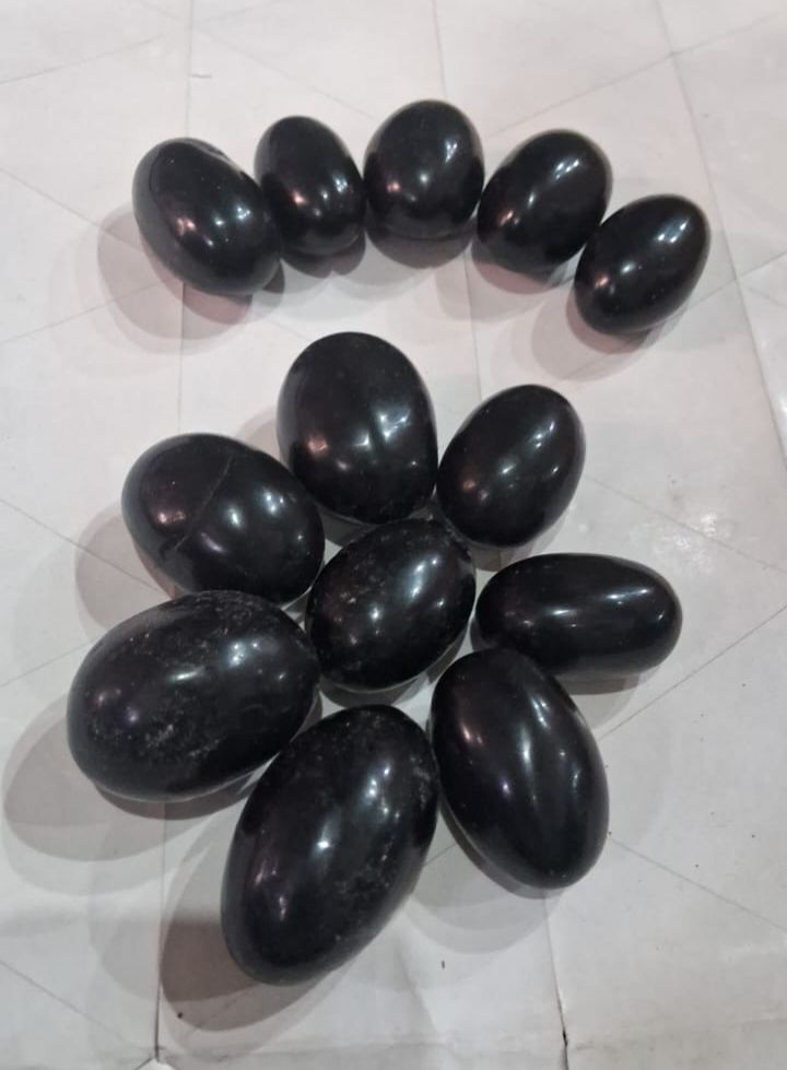 Shalegram Ji - Color: Various Available