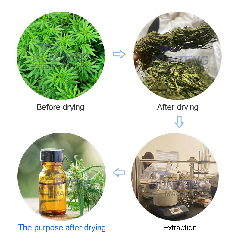 Grass dryer heat pump dryer fully automatic food dryer multi-layer mesh belt drying equipment