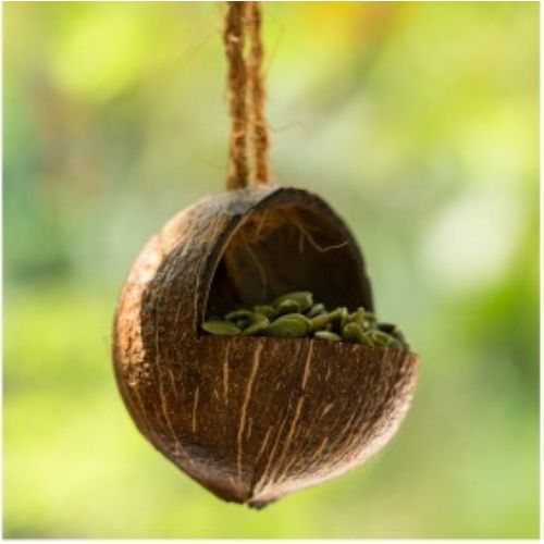 Bird Feeder