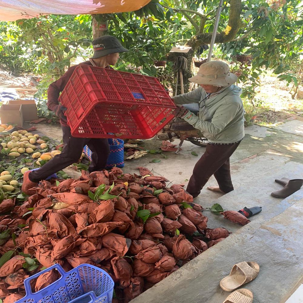 Reusable paper bag images