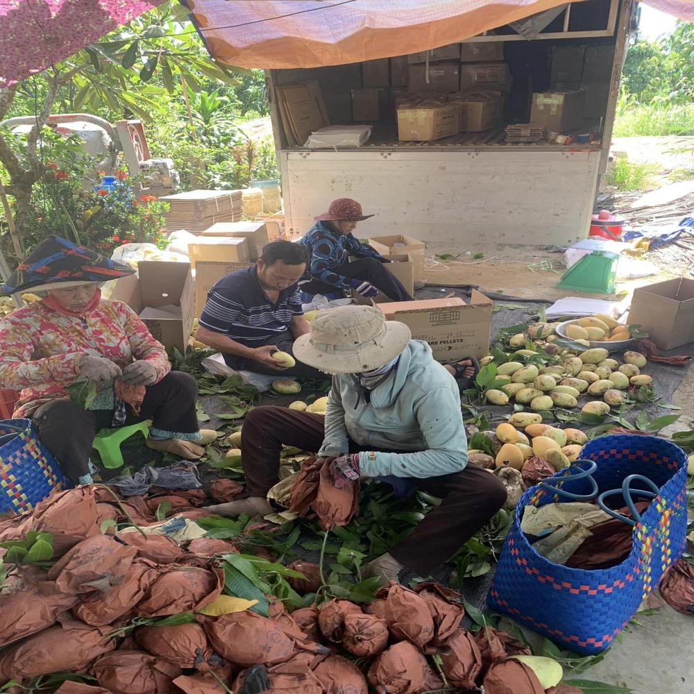 Reusable paper bag images