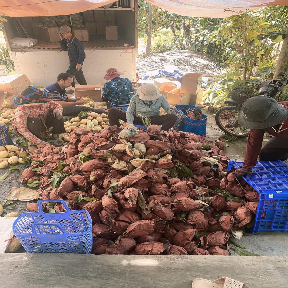 Reusable paper bag images