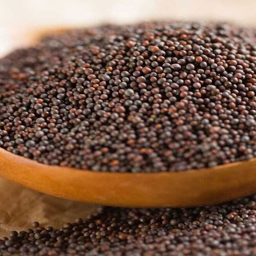 Mustard Seed