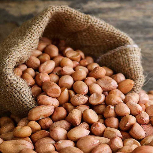 Fresh Groundnut