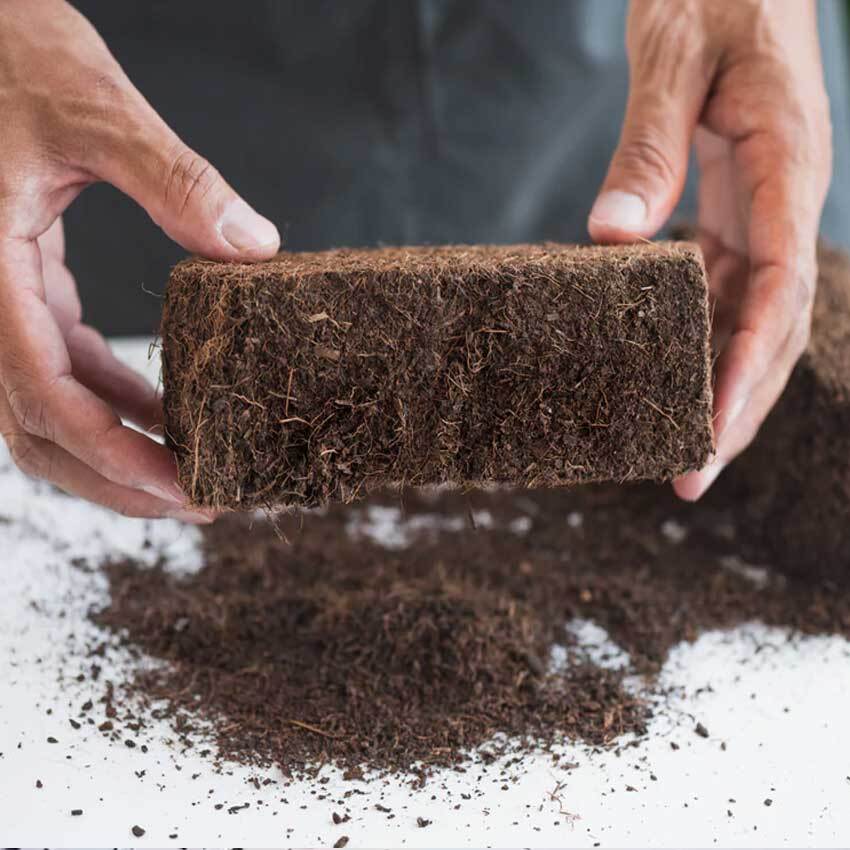 Cocopeat Blocks Low Ec