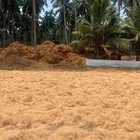 Coir Fibre White