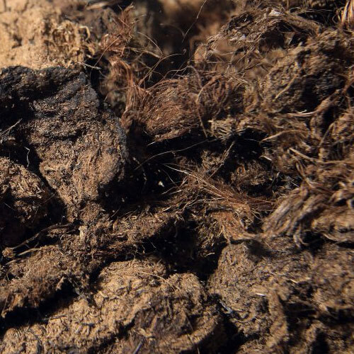 Hobby Range Special Mix Peat Moss - Breed: Organic