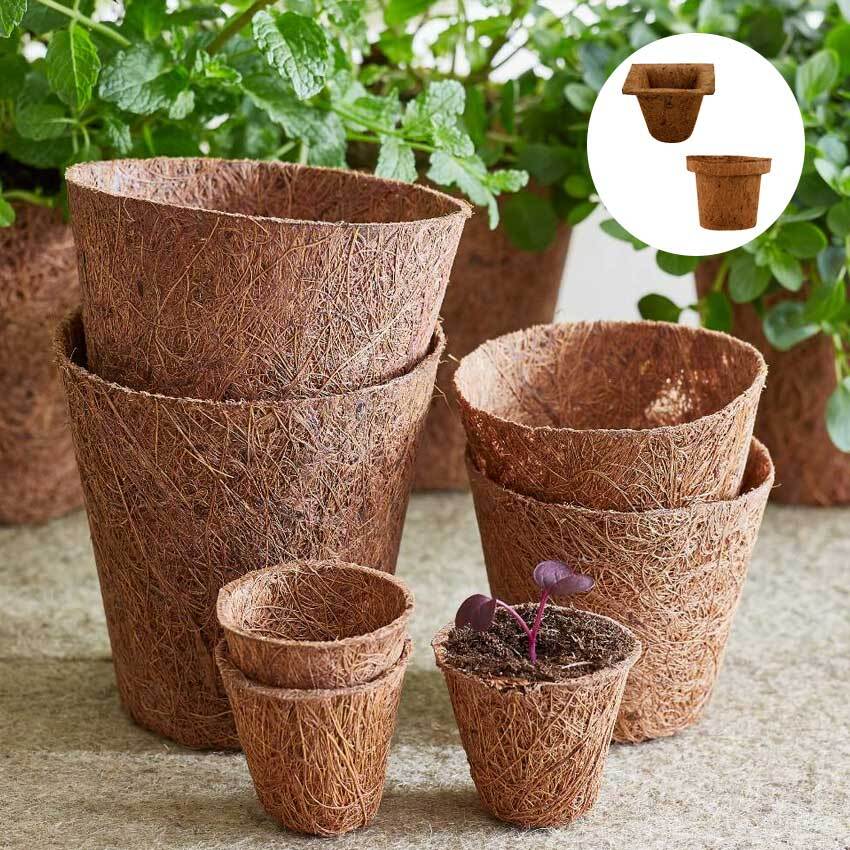 Coco Pots - Color: Brown