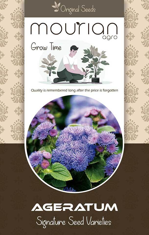 Ageratum Organic Seeds - Color: Brown