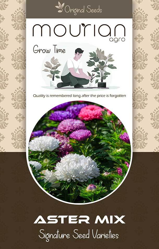 Aster Mix Organic Seeds