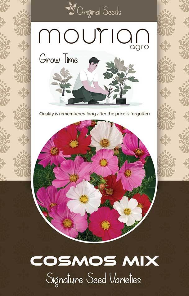 Cosmos Mix Organic Seeds - Color: Brown