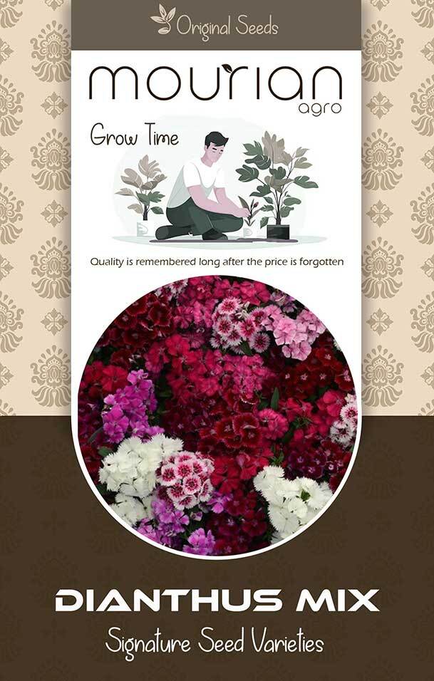 Dianthus Mix Organic Seeds - Color: Brown