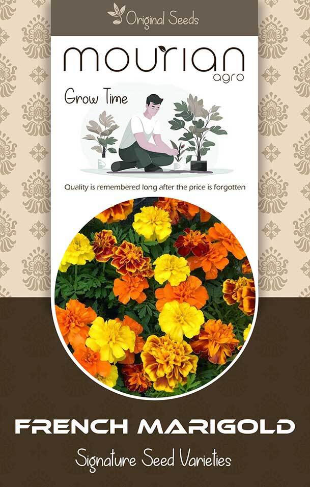 French Marigold Organic Seeds