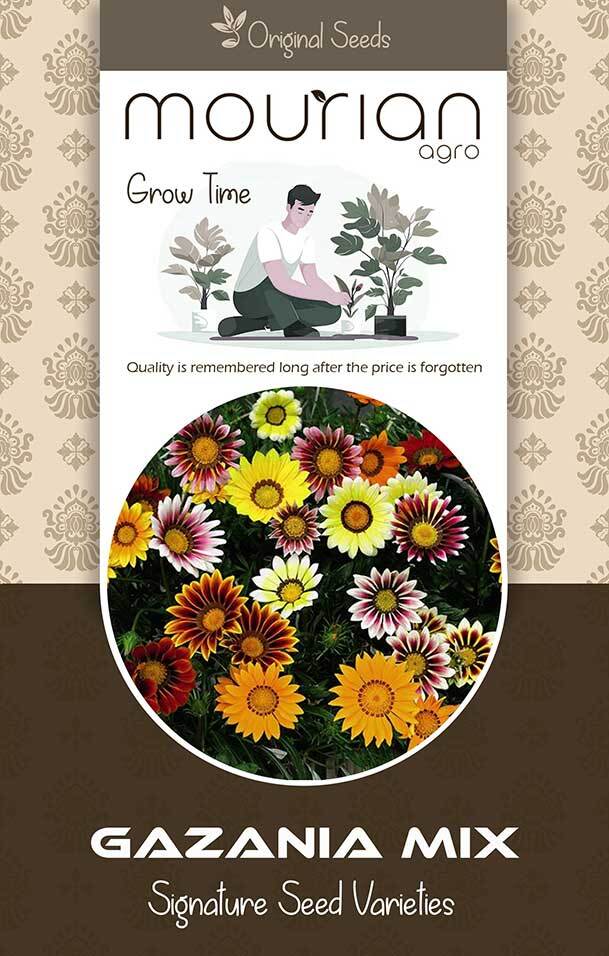 Gazania Organic Seeds - Color: Brown