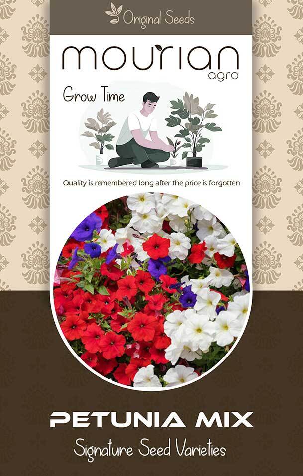Petunia Mix Organic Seeds - Color: Brown