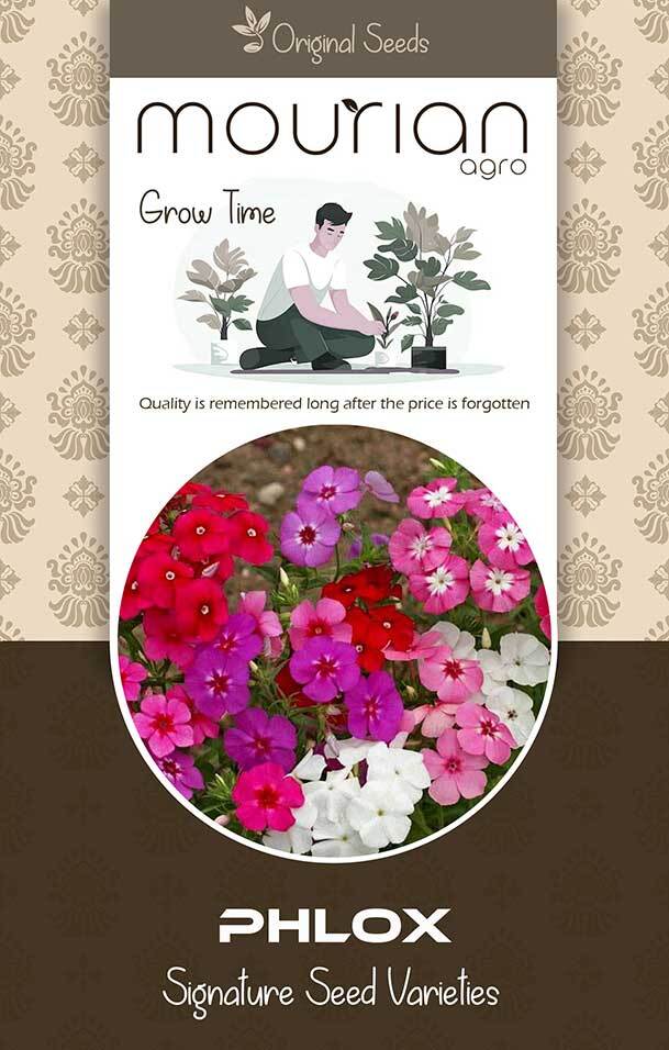 Phlox Organic Seeds