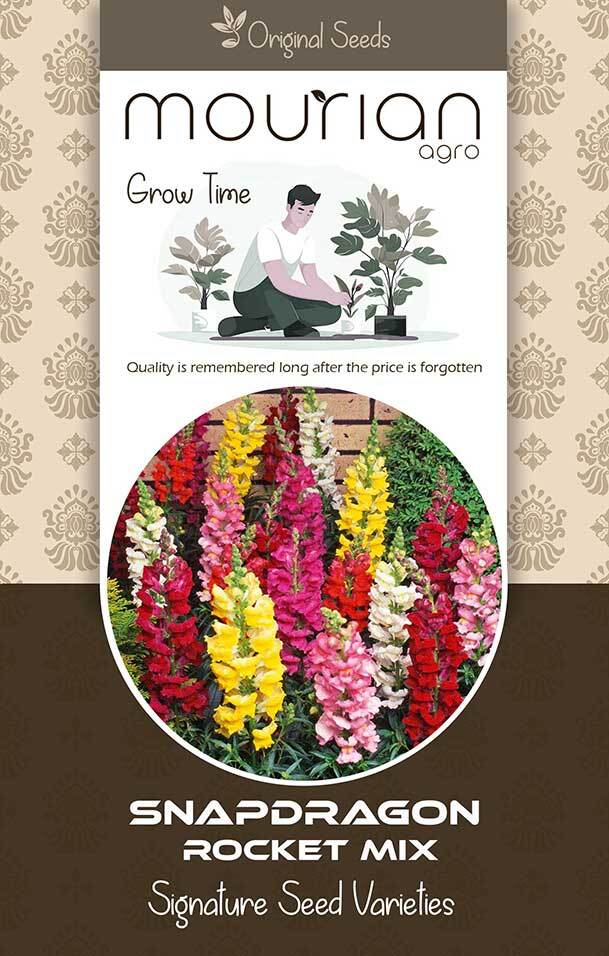 Snapdragon Rock Mix Organic Seeds - Color: Brown