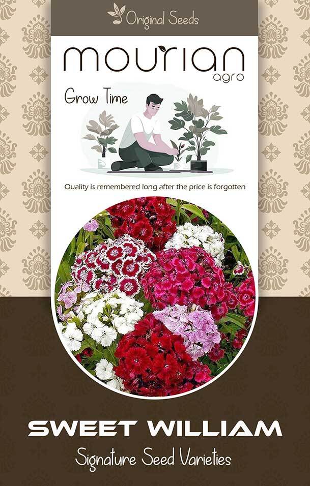 Sweet William Organic Seeds - Color: Brown