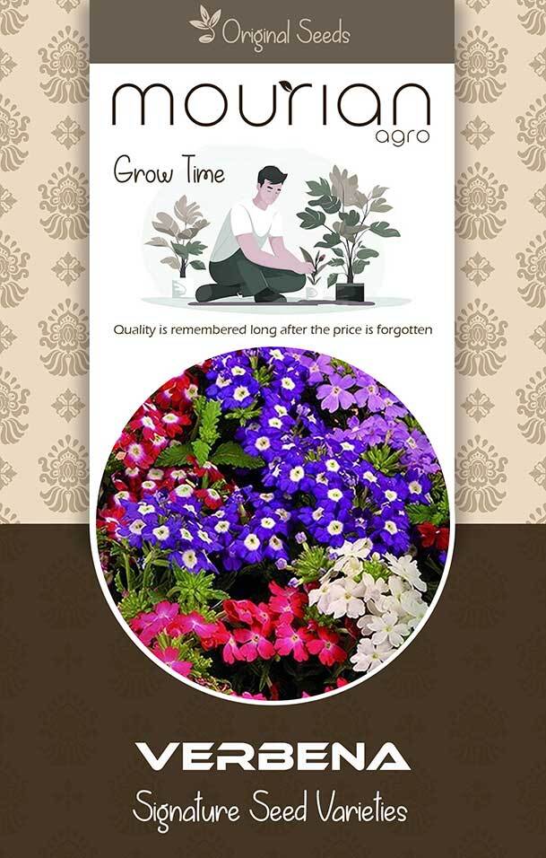 Verbena Organic Seeds - Color: Brown