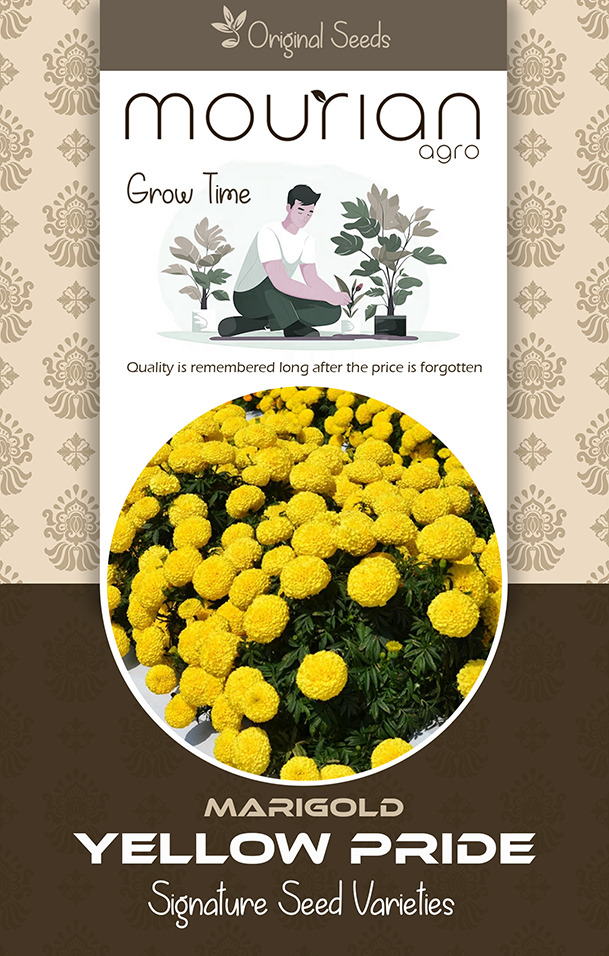 Yellow Pride Marigold Organic Seeds - Color: Brown
