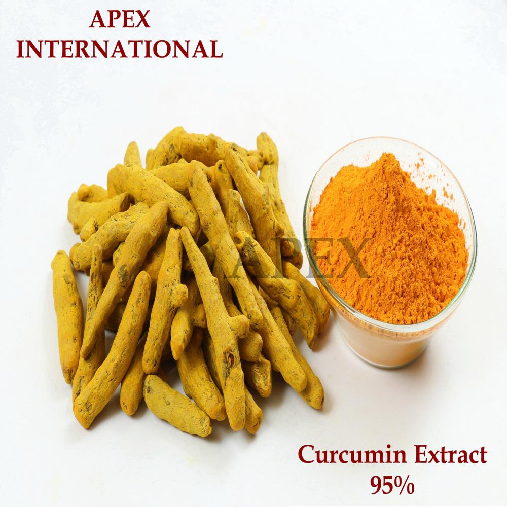 Curcumin Extract 95 By Hplc