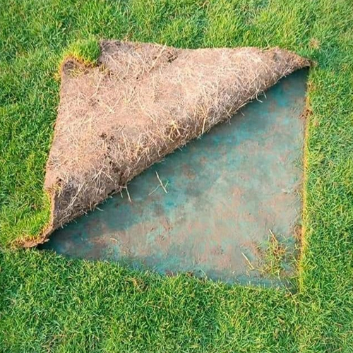 Natrual Grass Manufacturer