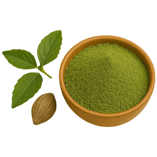 Tulsi - Basil Powder - Cultivation Type: Organic