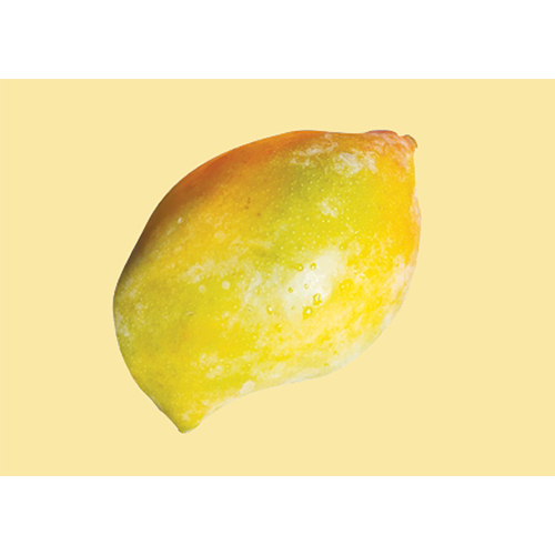 Totapuri Mango