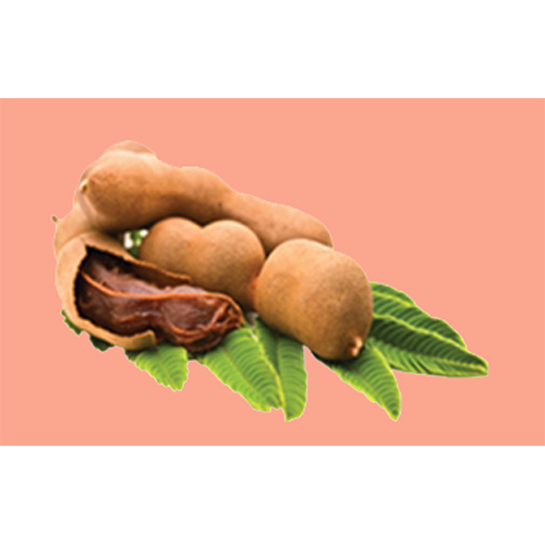 Chocolate Brown Tamarind