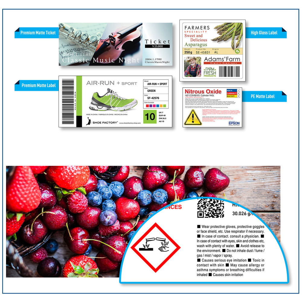 Epson Color Label Printer - Automatic Grade: Semi-automatic