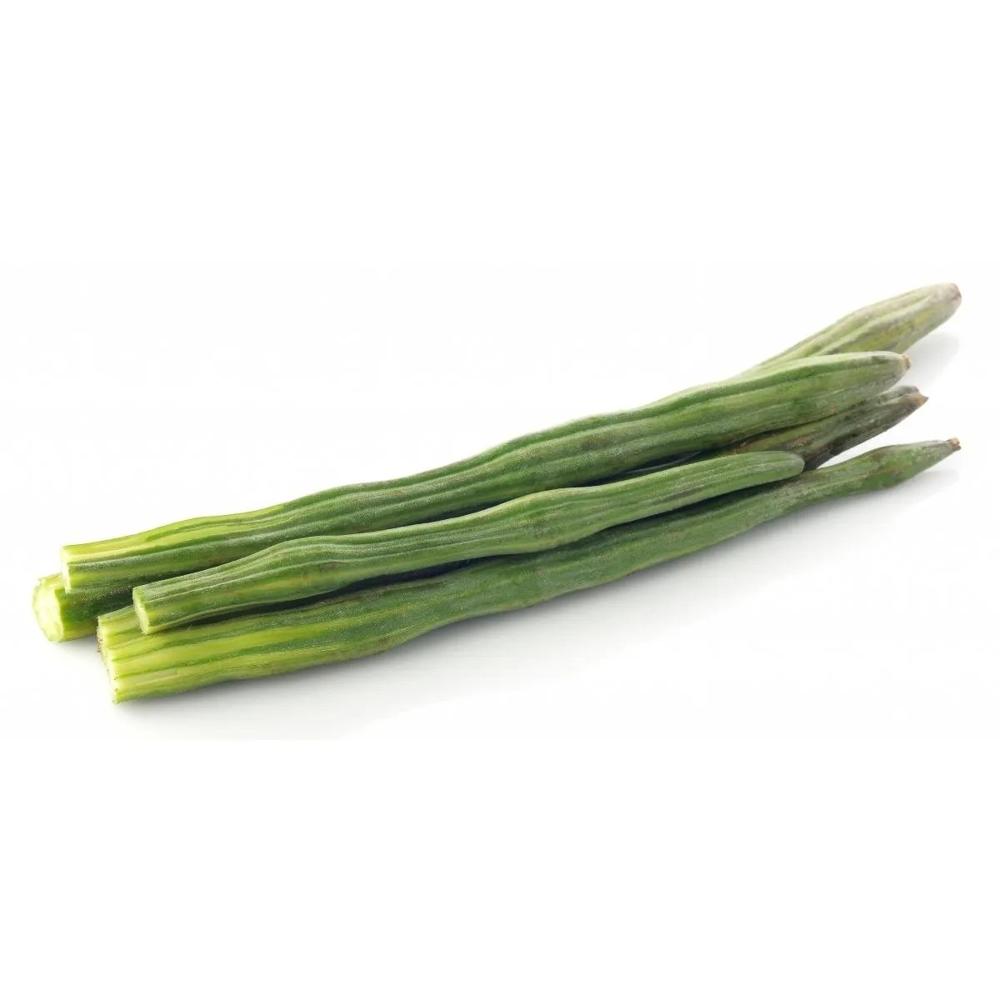 Fresh Green Drumstick - Cultivation Type: Common