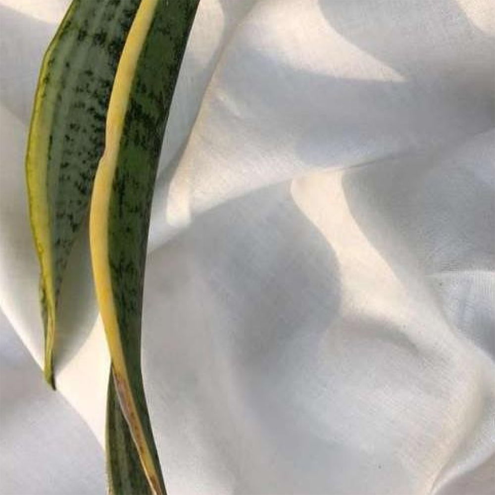 Bamboo Woven Fabric - Color: Different Available