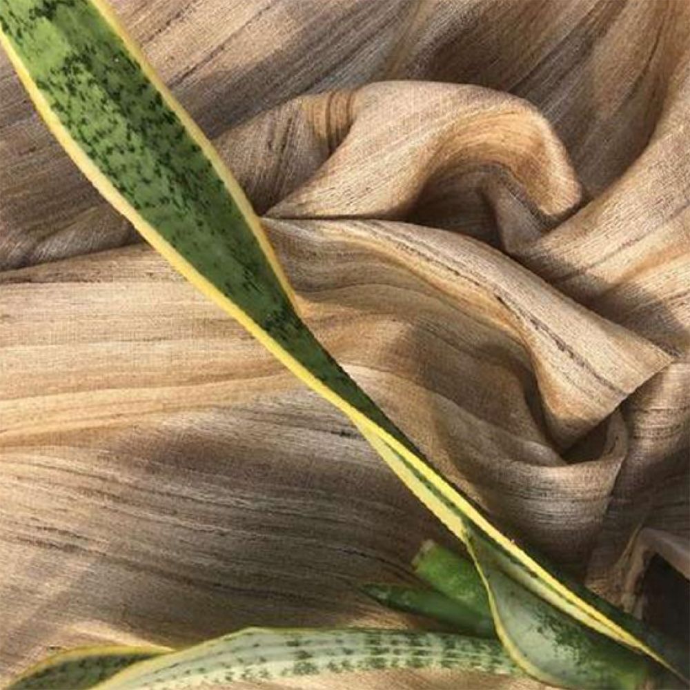 Budha Banana (Handloom And Handspun)