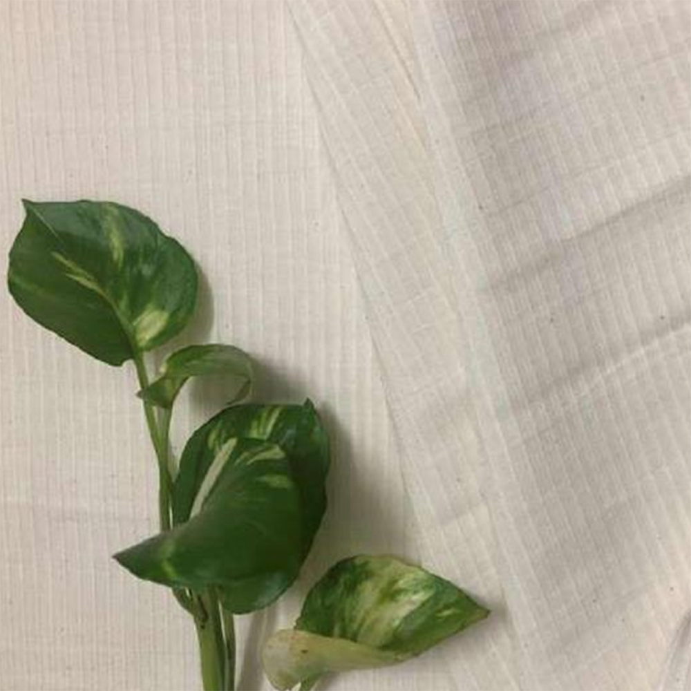 Budha Dhara Banana Strip Fabric - Attributes: Washable