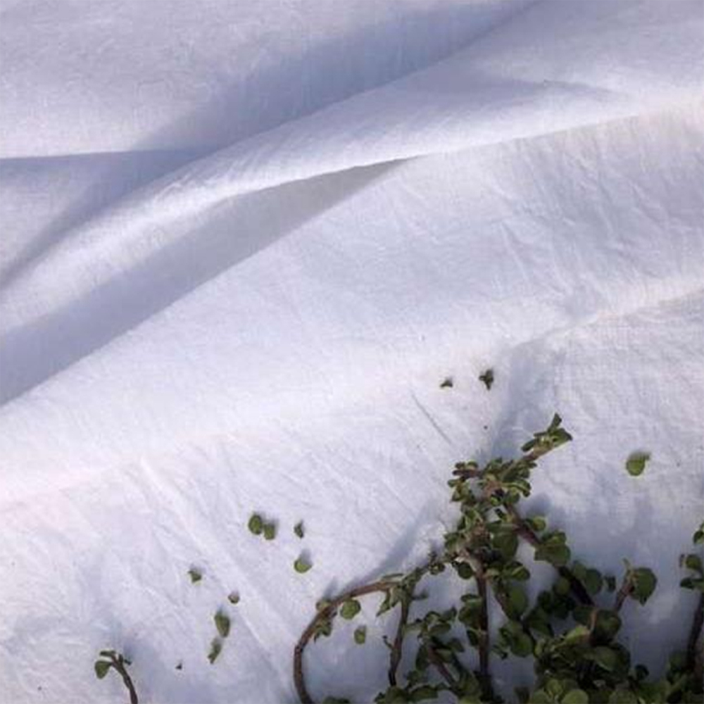 Vijaya  Woven (Powerloom)