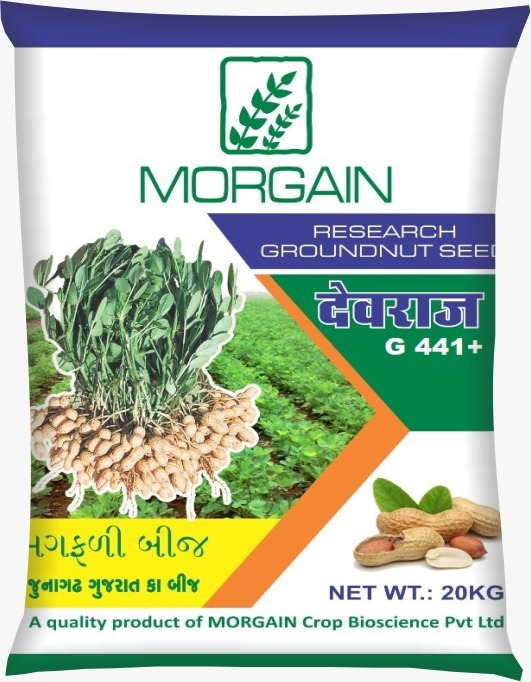 Mogain Seed