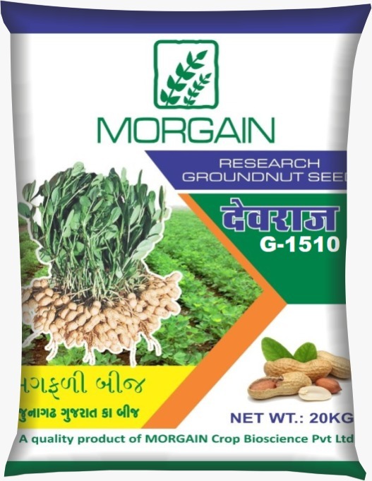 Mogain Seed