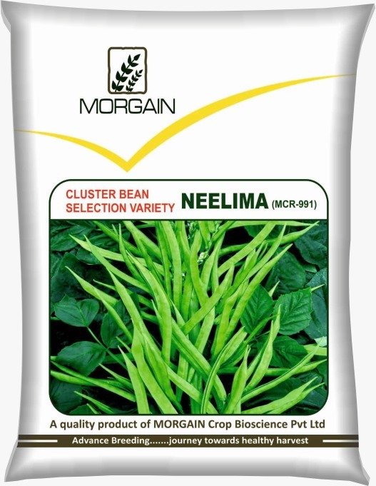 Neem Seed