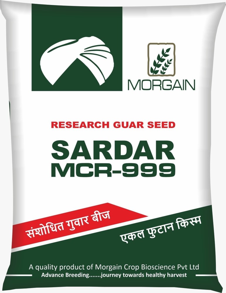 Neem Seed