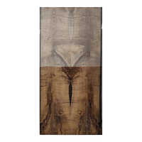 Oak Crotch Metallic Open Grains Veneer