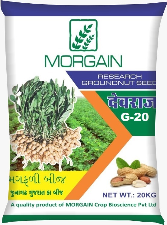 Devraj G-20 Groundnut Seed