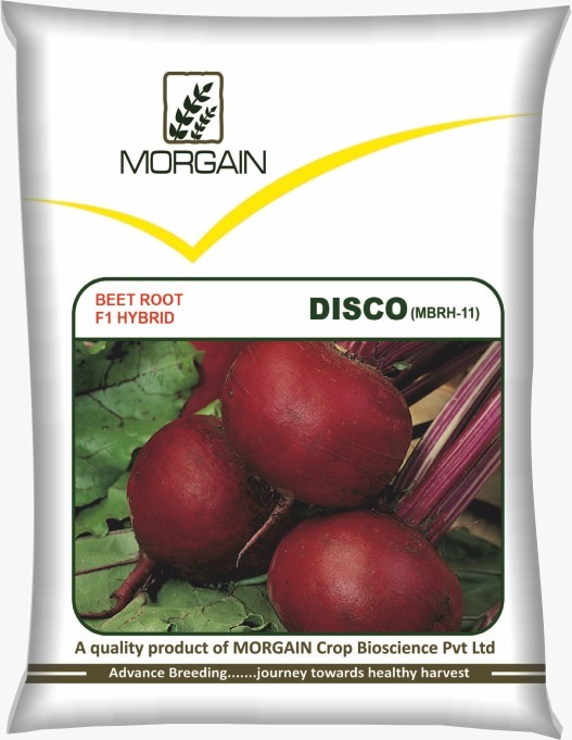 Disco Mbrh-11 F1 Hybrid Beet Root Seed - Cultivation Type: Common