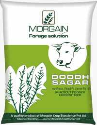 Doodh Sagar Multicut Fodder Chicory Seed Seed - Cultivation Type: Common