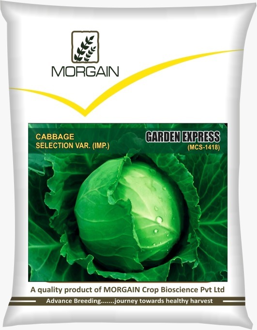 Garden Express MCS-1418 Cabbage Seed