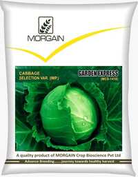 Garden Express MCS-1418 Cabbage Seed