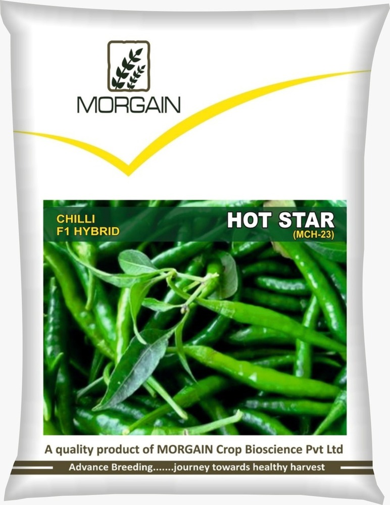 Hot Star Mch-23 F1 Hybrid Cilli Seed - Cultivation Type: Common