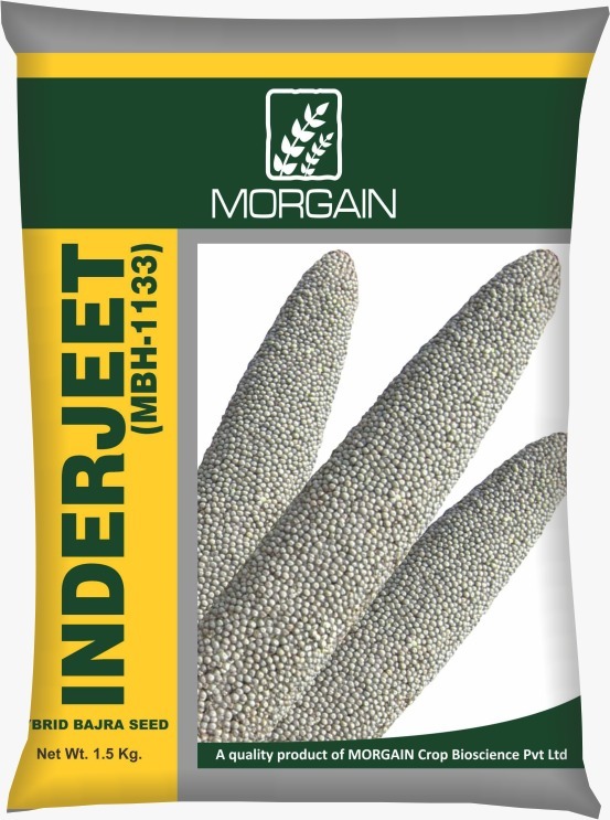 Inderjeet MBH-1133 Hybrid Bajra Seed