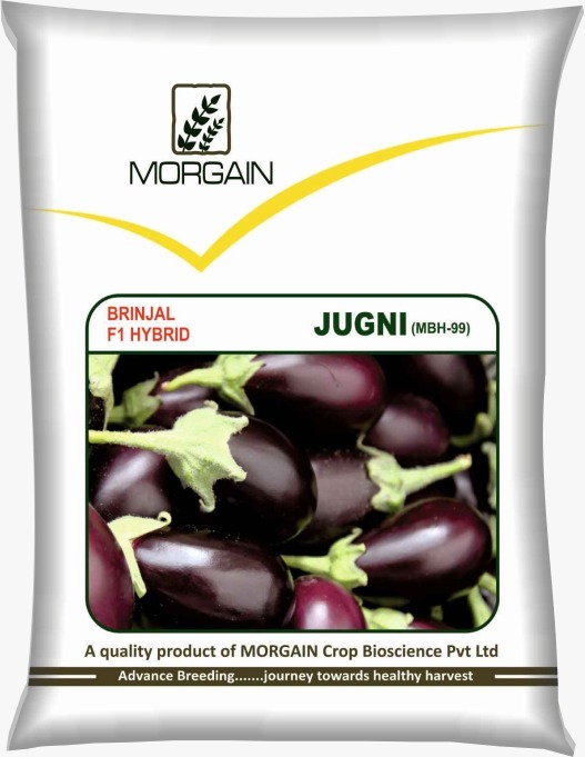Jugni MBH-99 F1 Hybrid Brinjal Seed