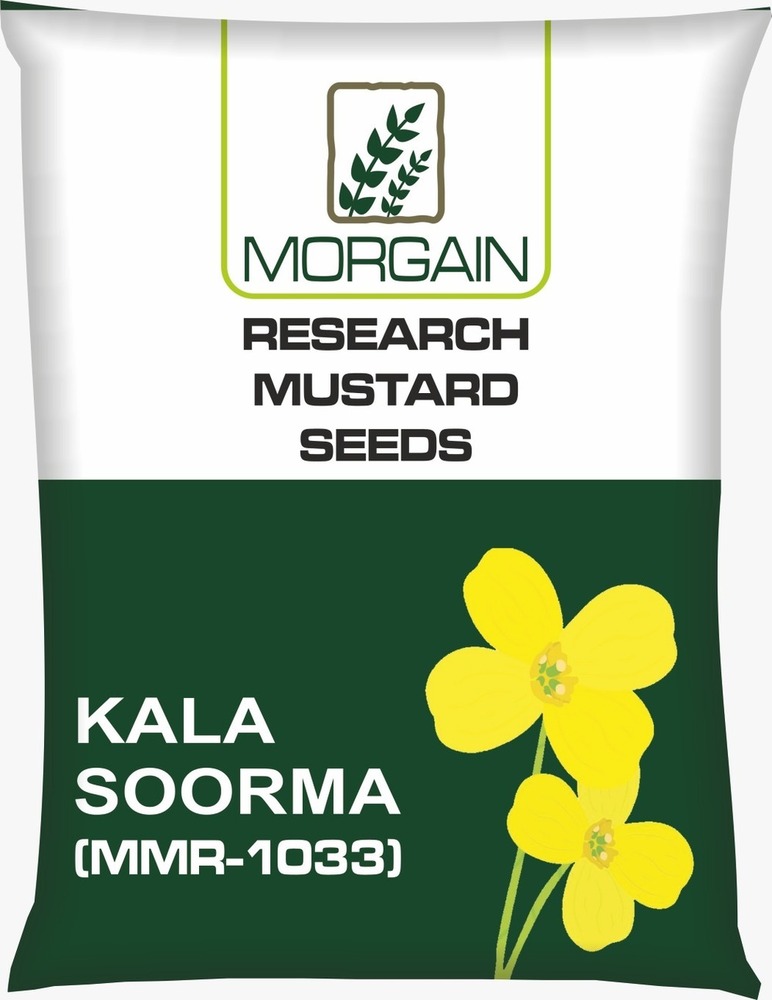 Kala Soorma MMR-1033 Mustard Seed