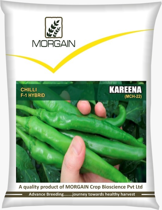 Kareen MCH-22 F1 Hybrid Cilli Seed